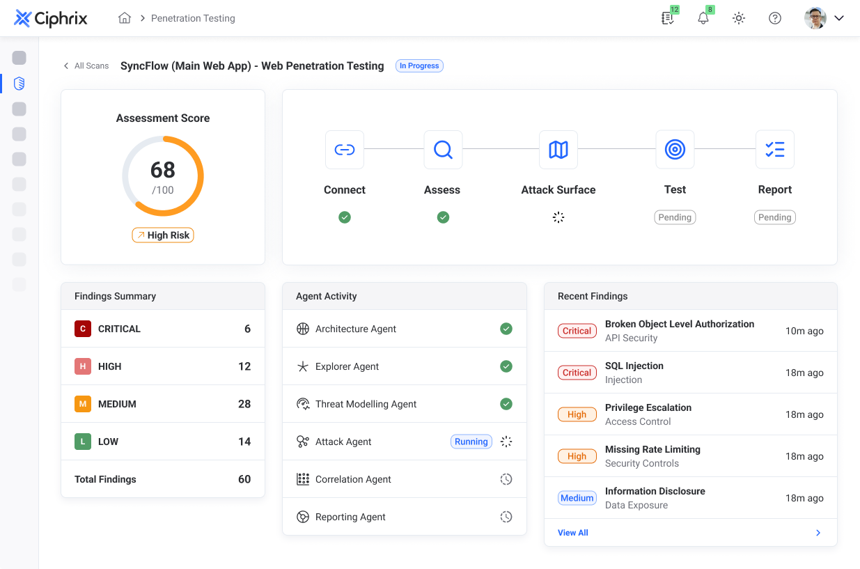 AI penetration testing dashboard showing security assessment results and findings